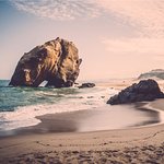 209palb